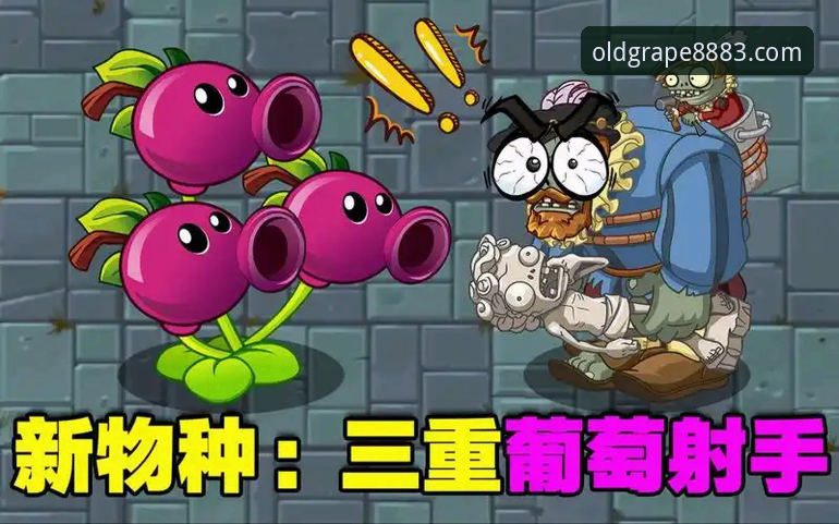老版新葡萄国际的葡萄游戏竞技常见问题，如何快速上手？